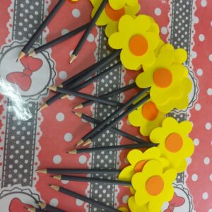 Campanha_faca_bonito_04